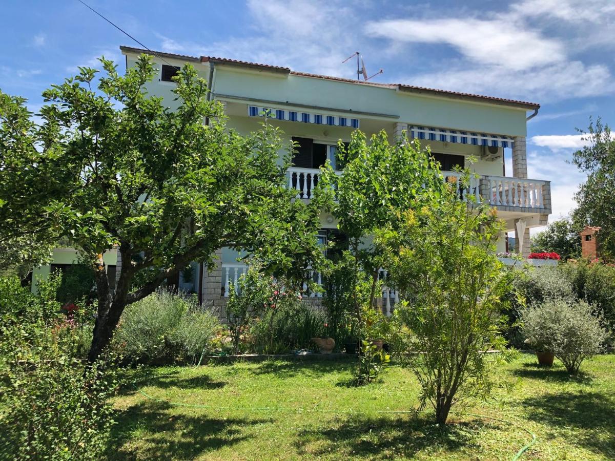 Apartments Muntidor Palit Zewnętrze zdjęcie